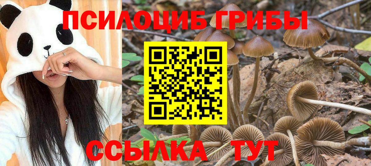 закладка  Псилоцибиновые грибы мухоморы  Вход с VPN  Кизляр 